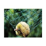 Durian Netting 榴莲网