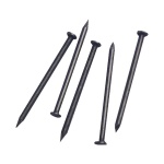 Iron Wire Nail 铁钉