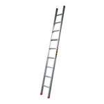 Single Pole Ladder 单极梯子